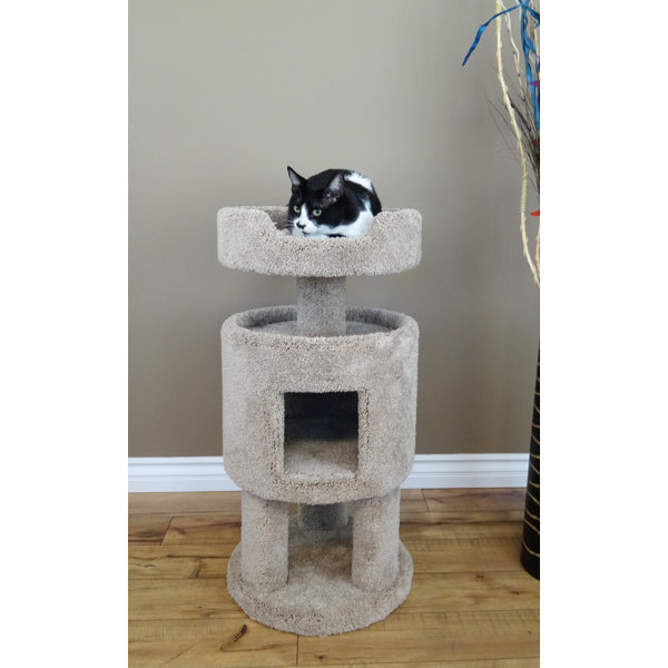 New Cat Condos 32" Premier Contemporary Cat Condo & Reviews Wayfair